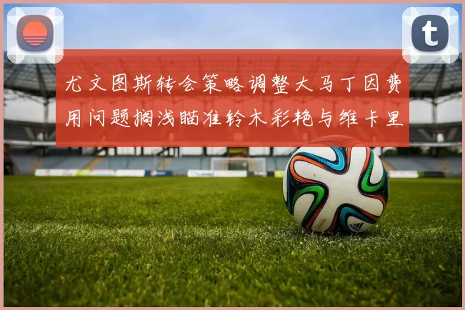 尤文图斯转会策略调整大马丁因费用问题搁浅瞄准铃木彩艳与维卡里奥