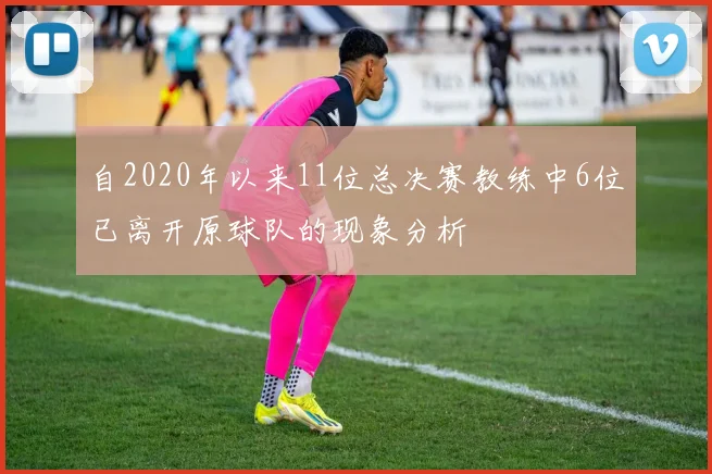 自2020年以来11位总决赛教练中6位已离开原球队的现象分析